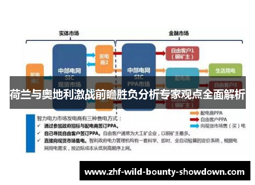 荷兰与奥地利激战前瞻胜负分析专家观点全面解析