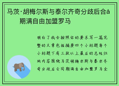 马茨·胡梅尔斯与泰尔齐奇分歧后合同期满自由加盟罗马